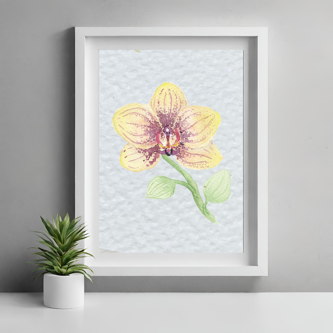 Lámina Orquidea - Print