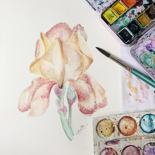 Iris - Acuarela Original