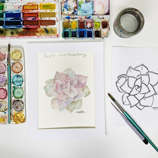 Suculenta Perle Von Nurnberg - Acuarela Original