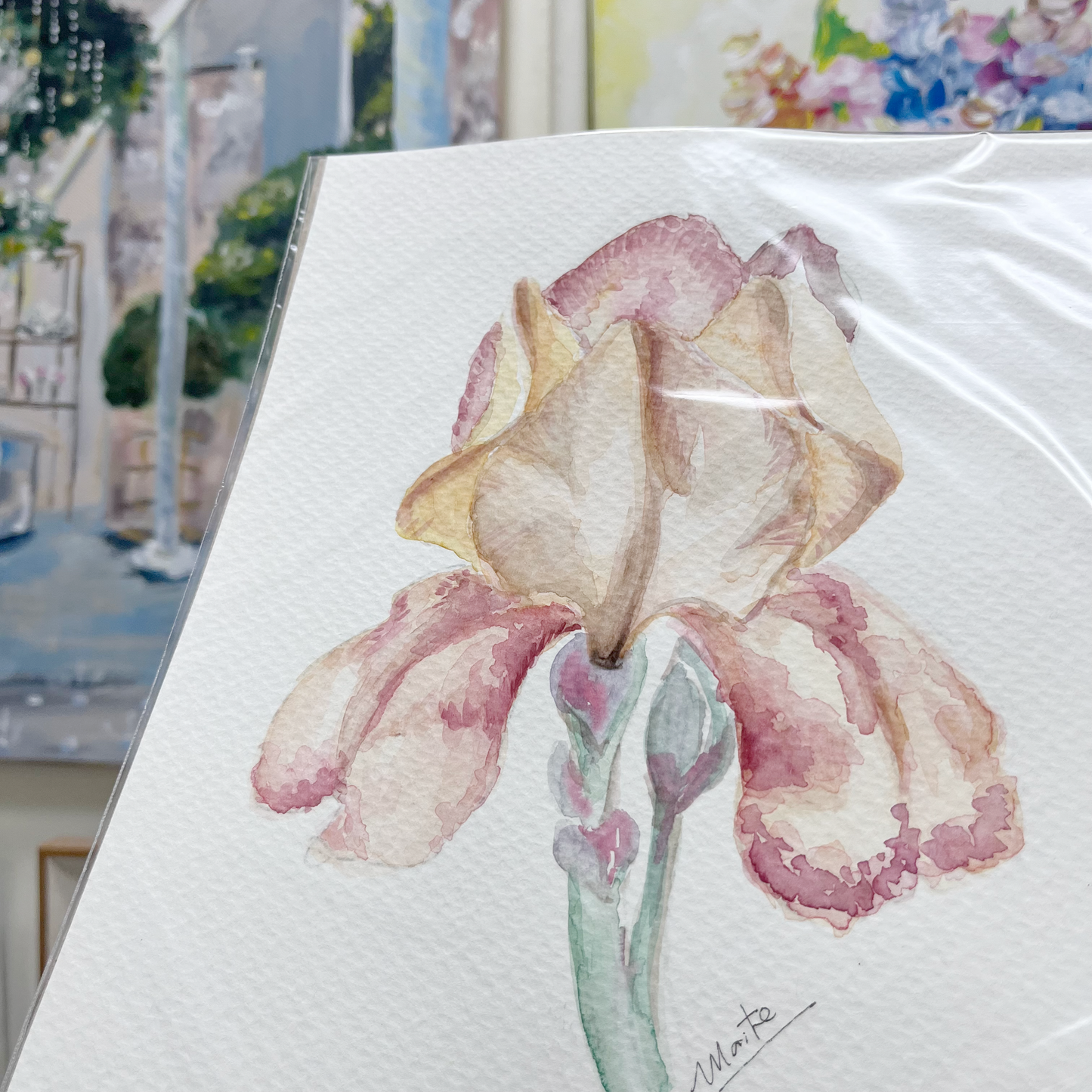 Iris - Acuarela Original
