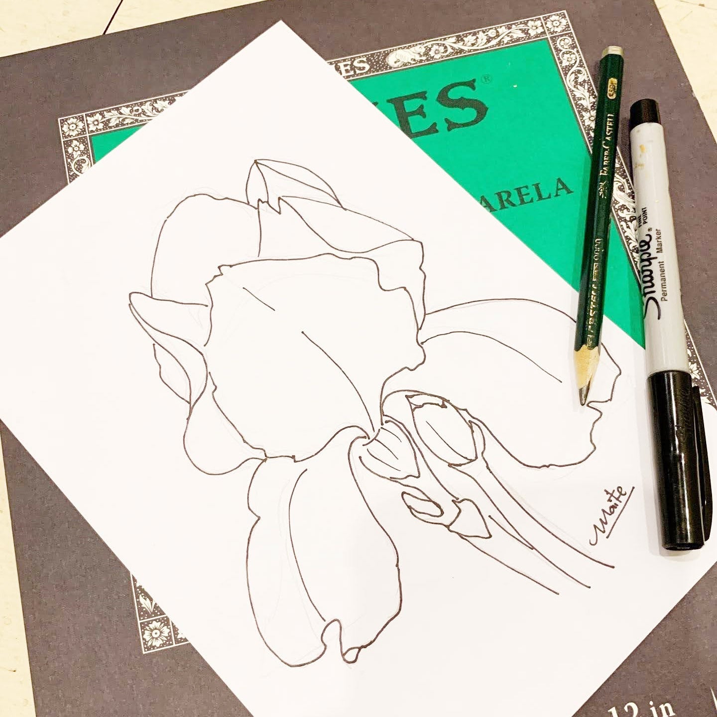 Plantilla Iris + LIVE en acuarela