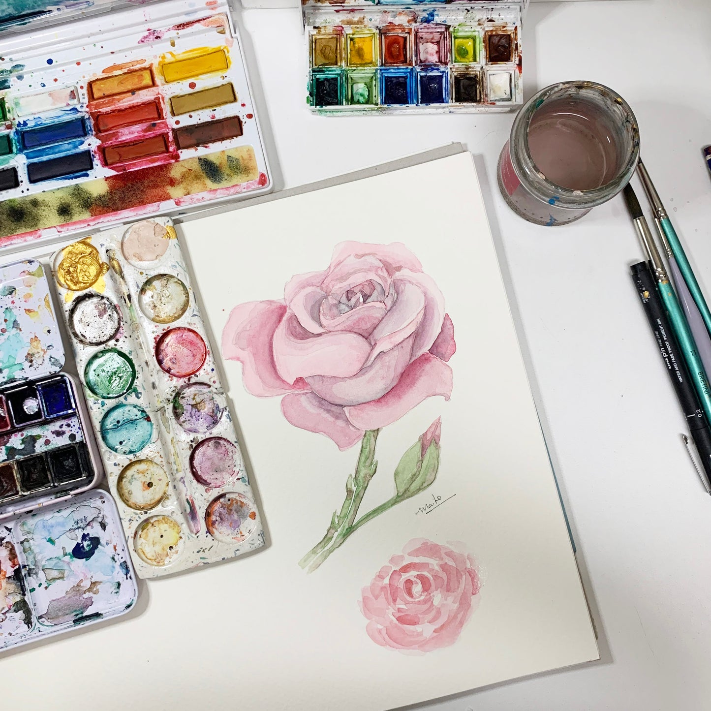 Plantilla Rosa + LIVE en acuarela