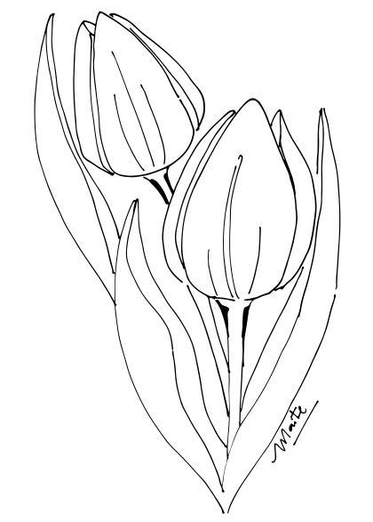 Plantilla Tulipán + LIVE en acuarela