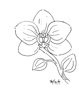 Plantilla Orquidea + LIVE en acuarela