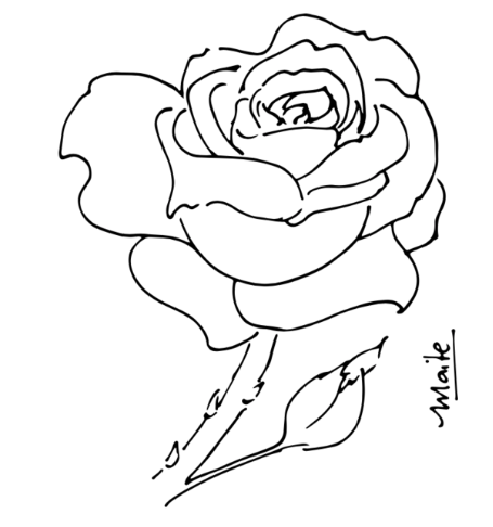 Plantilla Rosa + LIVE en acuarela