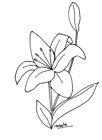 Plantilla Lirio + LIVE en acuarela