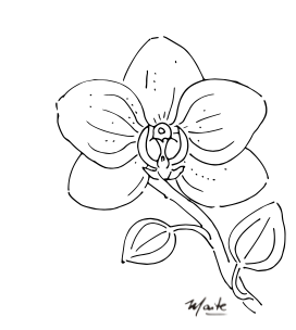 Plantilla Orquidea + LIVE  en acuarela
